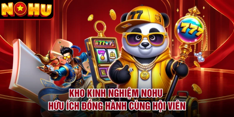 Kho kinh nghiệm NOHU hữu ích đồng hành cùng hội viên
